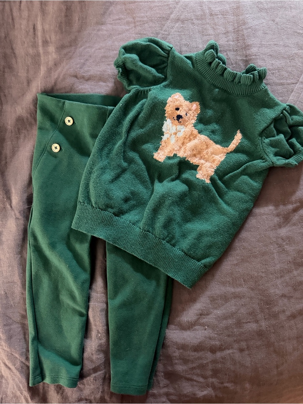 Green Dog Sweater & Leggings Set